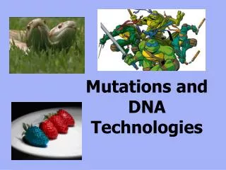 Mutations and DNA Technologies