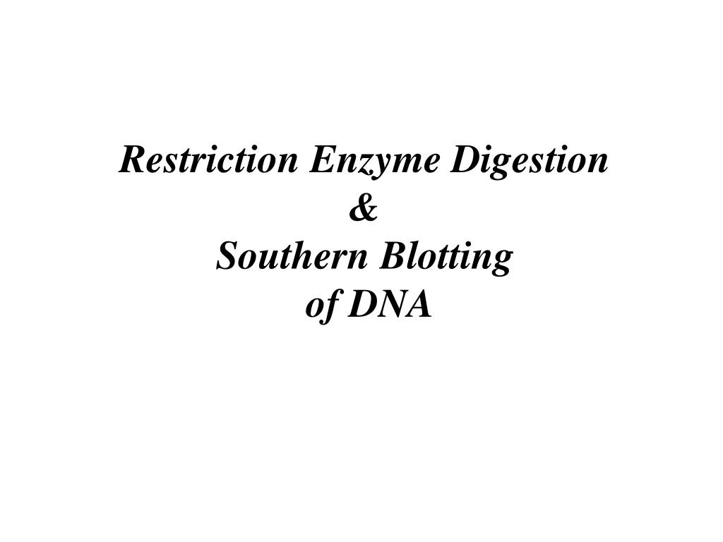 PPT - Restriction Enzyme Digestion & Southern Blotting of DNA ...
