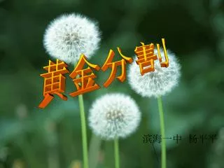 slide1