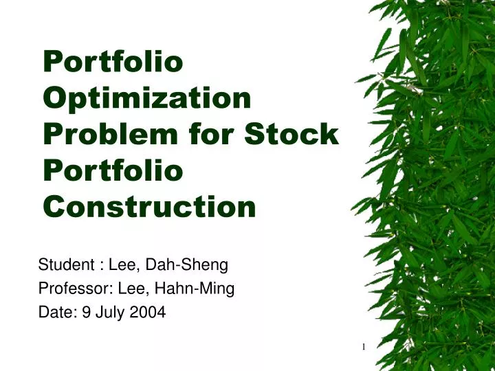 portfolio optimization problem for stock portfolio construction