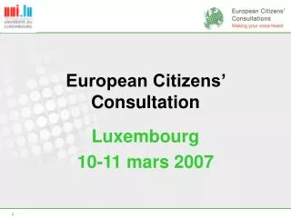 european citizens consultation