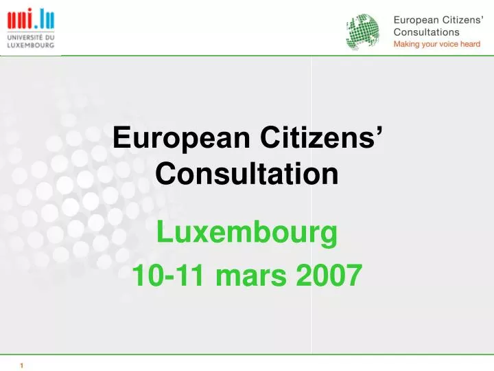 european citizens consultation