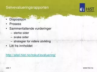 selvevalueringsrapporten