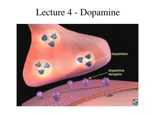 Lecture 4 - Dopamine