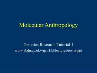 Molecular Anthropology