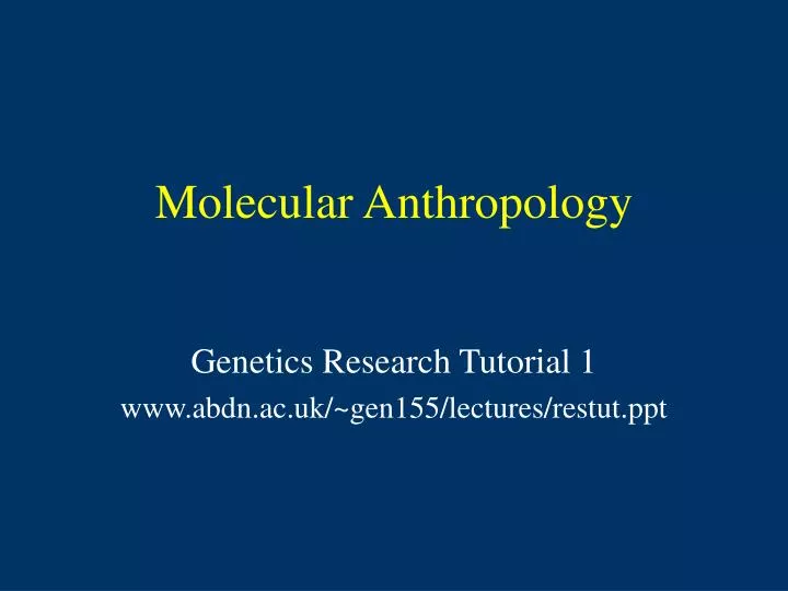 molecular anthropology