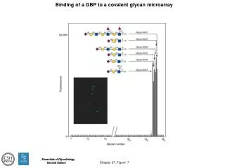 Chapter 27, Figure 7