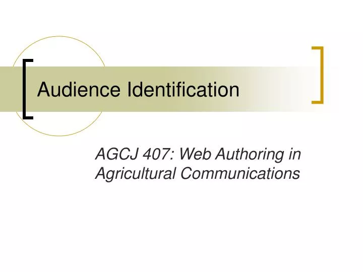 audience identification