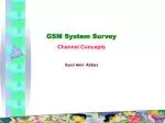 GSM System Survey Channel Concepts Syed Amir Abbas - slide 1