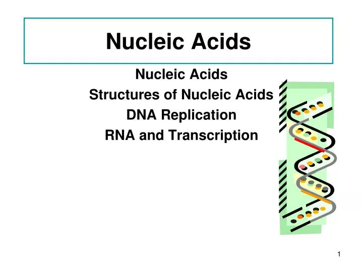 nucleic acids