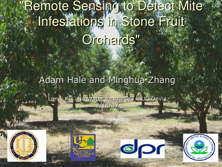 remote sensing to detect mite infestations in stone fruit orchards