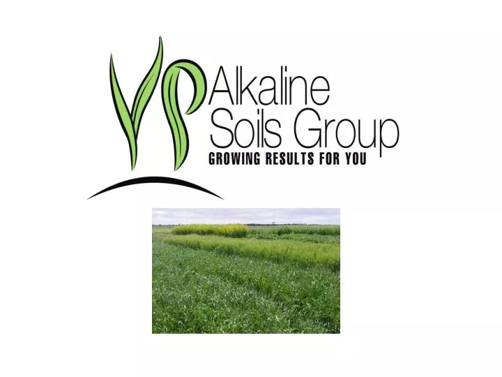 www alkalinesoilsgroup com au