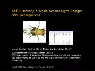 SNP Discovery in Whole-Genome Light-Shotgun 454 Pyrosequences