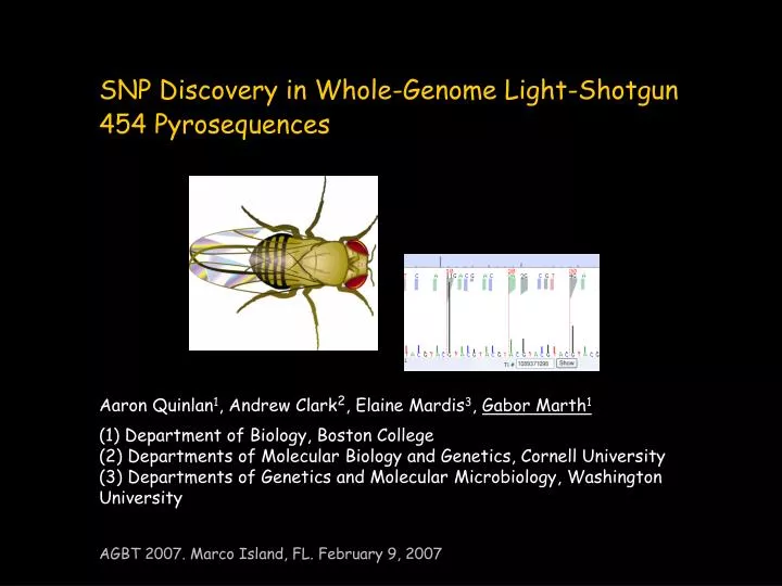 snp discovery in whole genome light shotgun 454 pyrosequences