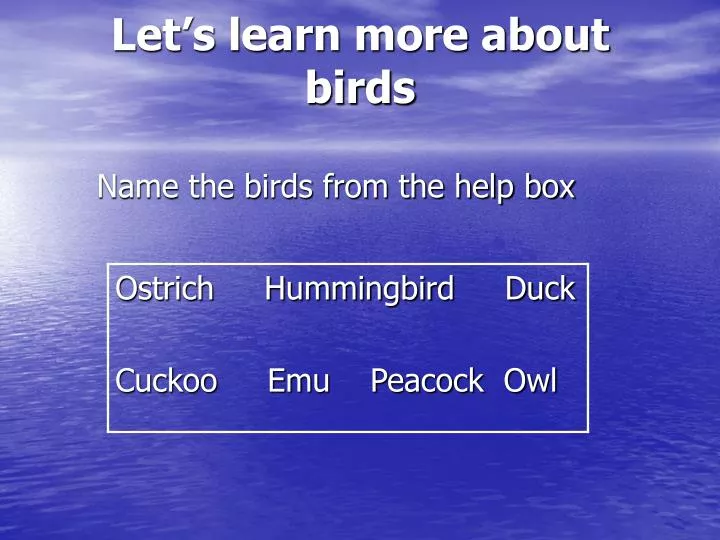 let s learn more about birds