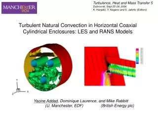 Turbulent Natural Convection in Horizontal Coaxial Cylindrical Enclosures: LES and RANS Models