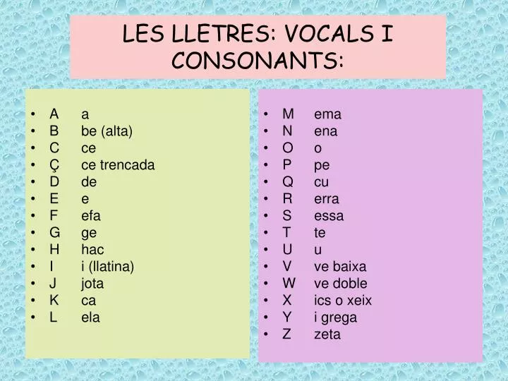 les lletres vocals i consonants
