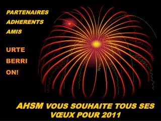 ahsm vous souhaite tous ses v ux pour 2011