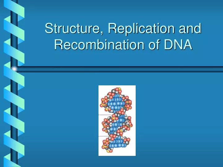 structure replication and recombination of dna