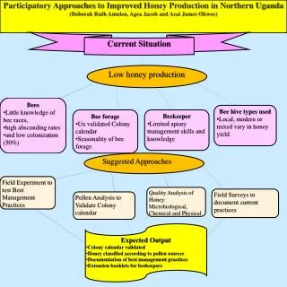 Participatory Approaches to Improved Honey Production in Northern Uganda