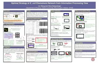 Optimal Strategy of E. coli Chemotaxis Network from Information Processing View