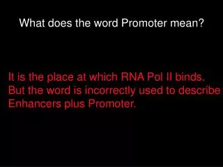 What does the word Promoter mean?