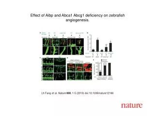 Lh Fang et al. Nature 000 , 1-5 (2013) doi:10.1038/nature12166