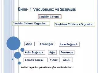 nite 1 v cudumuz ve sistemler