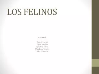 los felinos