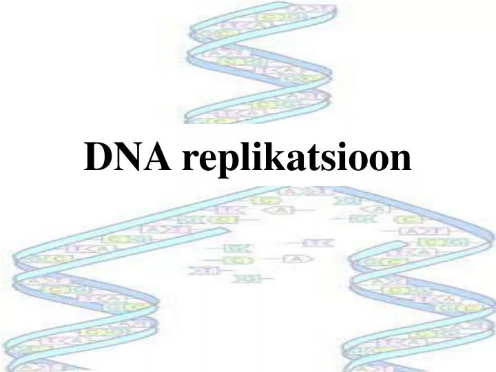 dna replikatsioon