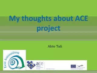 My thoughts about ACE project