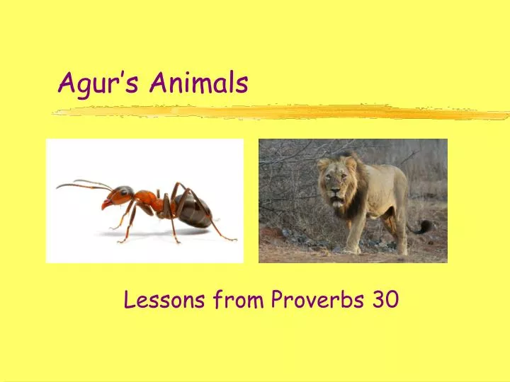 agur s animals