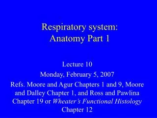 Respiratory system: Anatomy Part 1