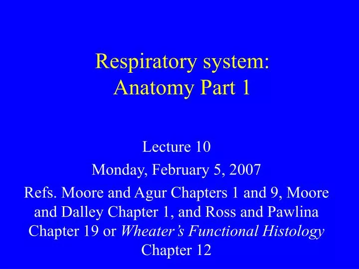 respiratory system anatomy part 1