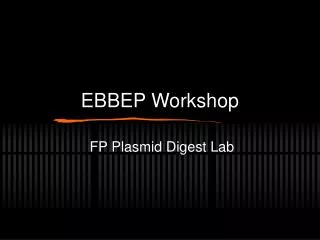 EBBEP Workshop
