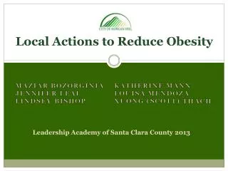 Local Actions to Reduce Obesity