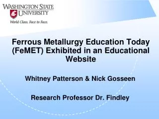 Ferrous Metallurgy Education Today (FeMET) Exhibited in an Educational Website