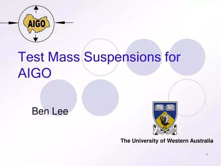 test mass suspensions for aigo