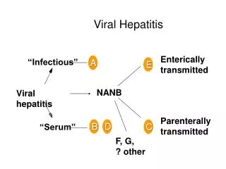 Viral Hepatitis