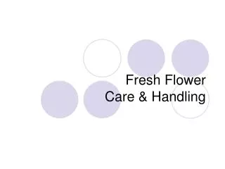 Fresh Flower Care &amp; Handling
