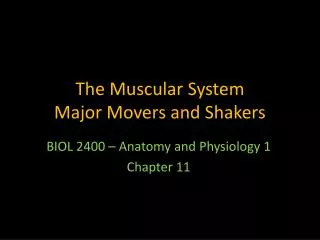 The Muscular System Major Movers and Shakers