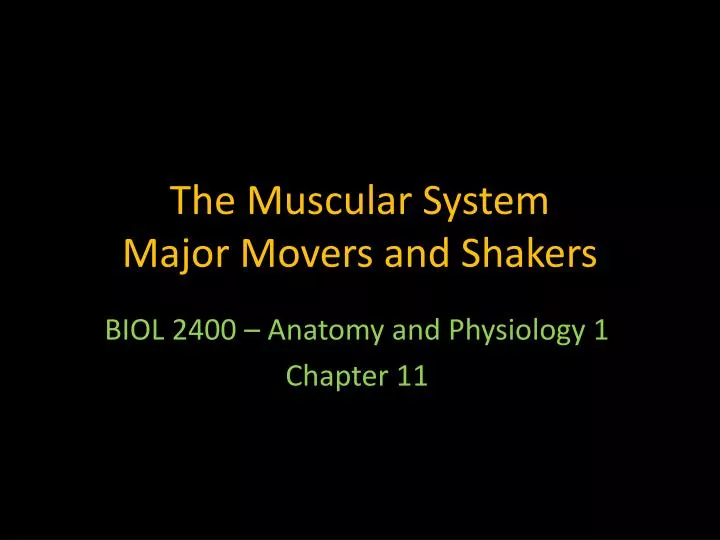 the muscular system major movers and shakers