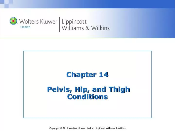 chapter 14 pelvis hip and thigh conditions