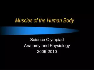 Muscles of the Human Body