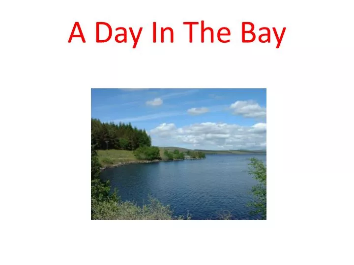 a day in the bay