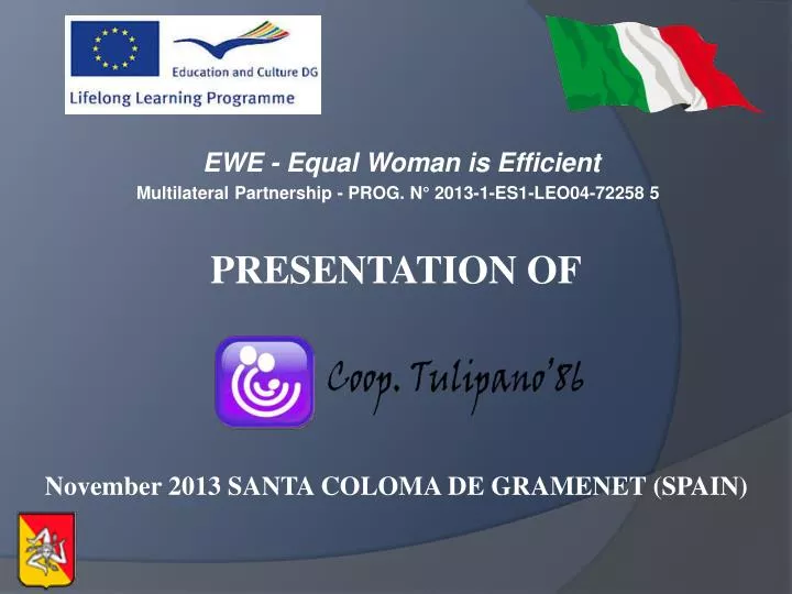 ewe equal woman is efficient multilateral partnership prog n 2013 1 es1 leo04 72258 5