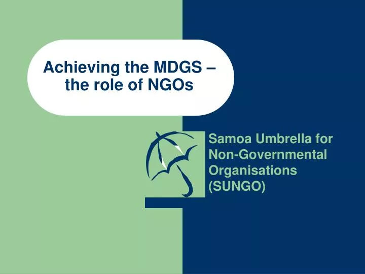 achieving the mdgs the role of ngos