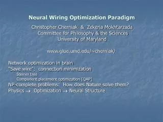 Neural Wiring Optimization Paradigm