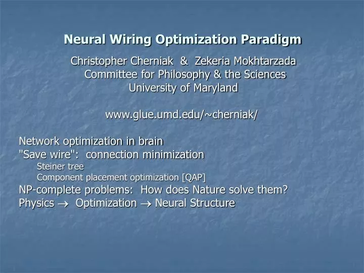 neural wiring optimization paradigm