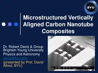 Microstructured Vertically Aligned Carbon Nanotube Composites